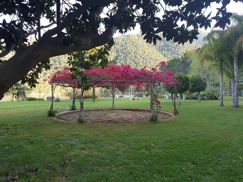Villa Montgrau Llano de Gorra المظهر الخارجي الصورة